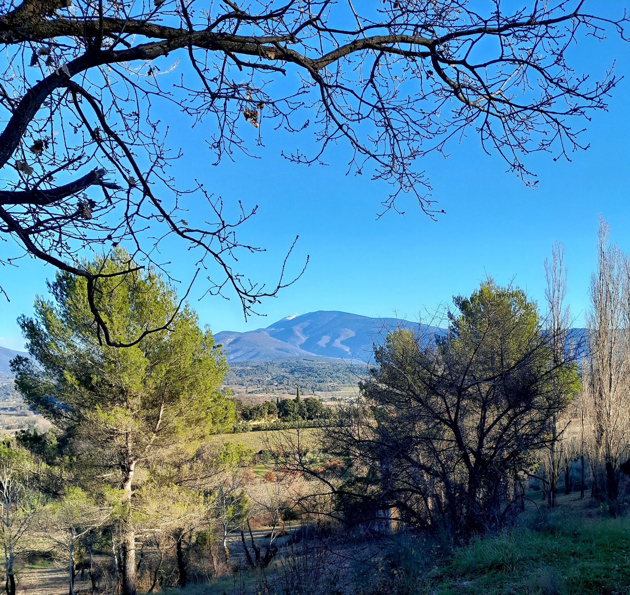 Beetje sneeuw op de Ventoux