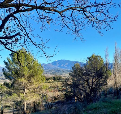 Beetje sneeuw op de Ventoux
