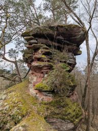 Autour du Falkenstein