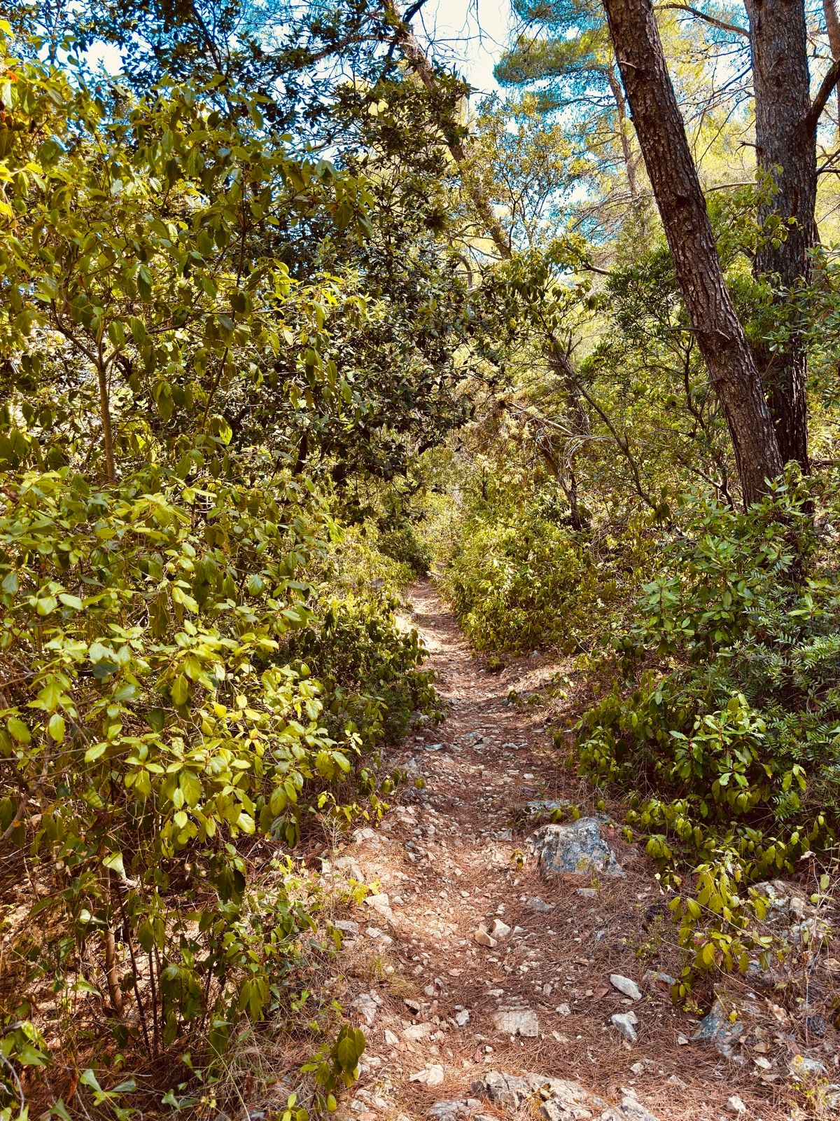 Ride Image 6