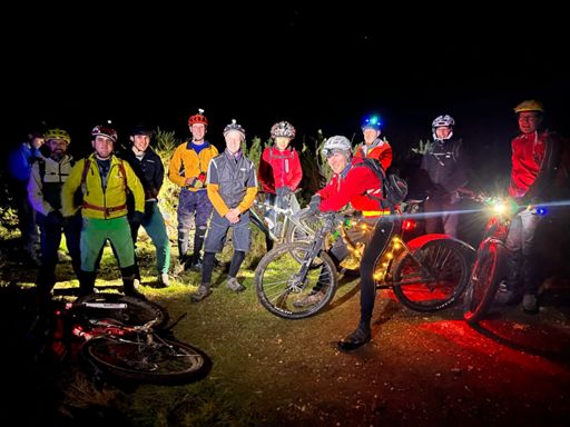 be dazzled stalwarts 