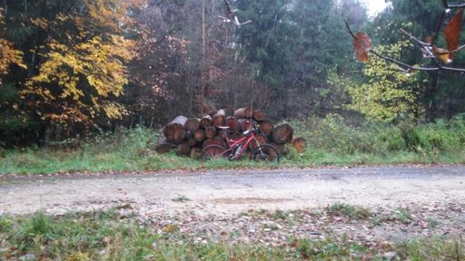 Schneeschuhe,  hinter der Struth.