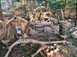 Balade à Pierre Percée 