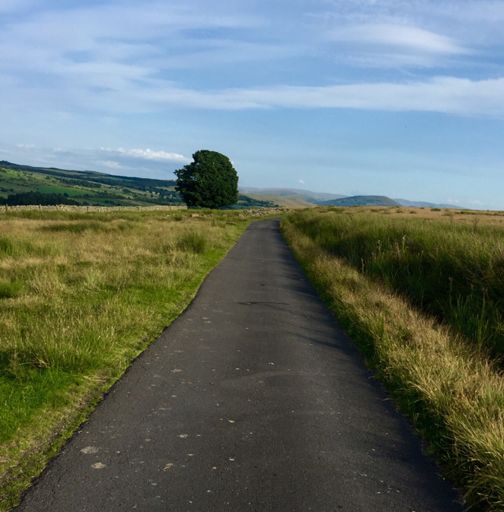 Mungrisedale Common
🕖 19.03
🌡 22°c