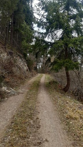 Genialer Anstieg im Dünnbachtal.