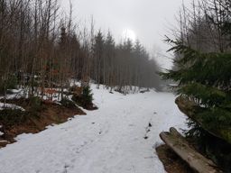 Trotte belfosse champ du feu