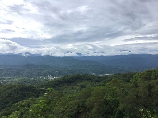 This is what 50% chance of rain look like?