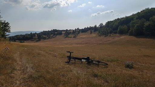 Gedaan met de keien; nu de wei in.