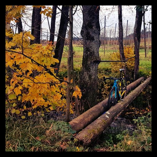 Bin leider kein MacAskill 🙀