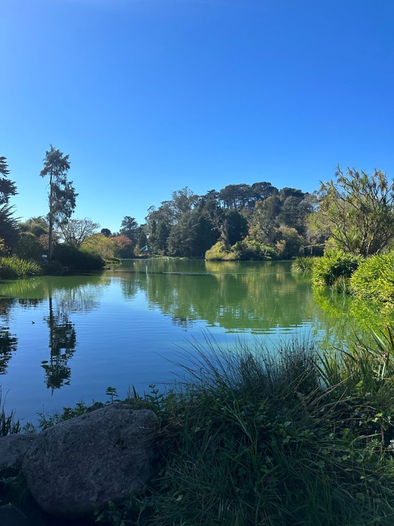 Butterlap (Presidio & Golden Gate Park) photo 150