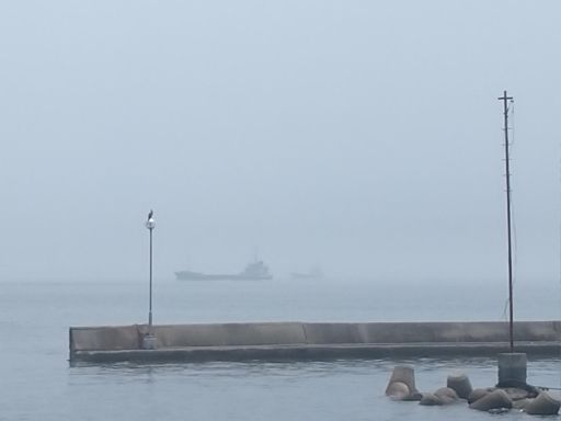 午前中の
曇り予報的中🎯