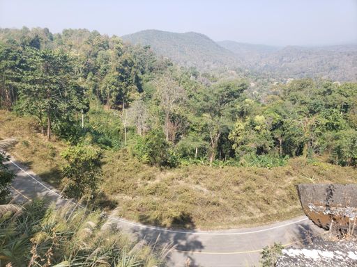 Roller coaster road from above
