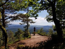 Trotte dans le Kemberg