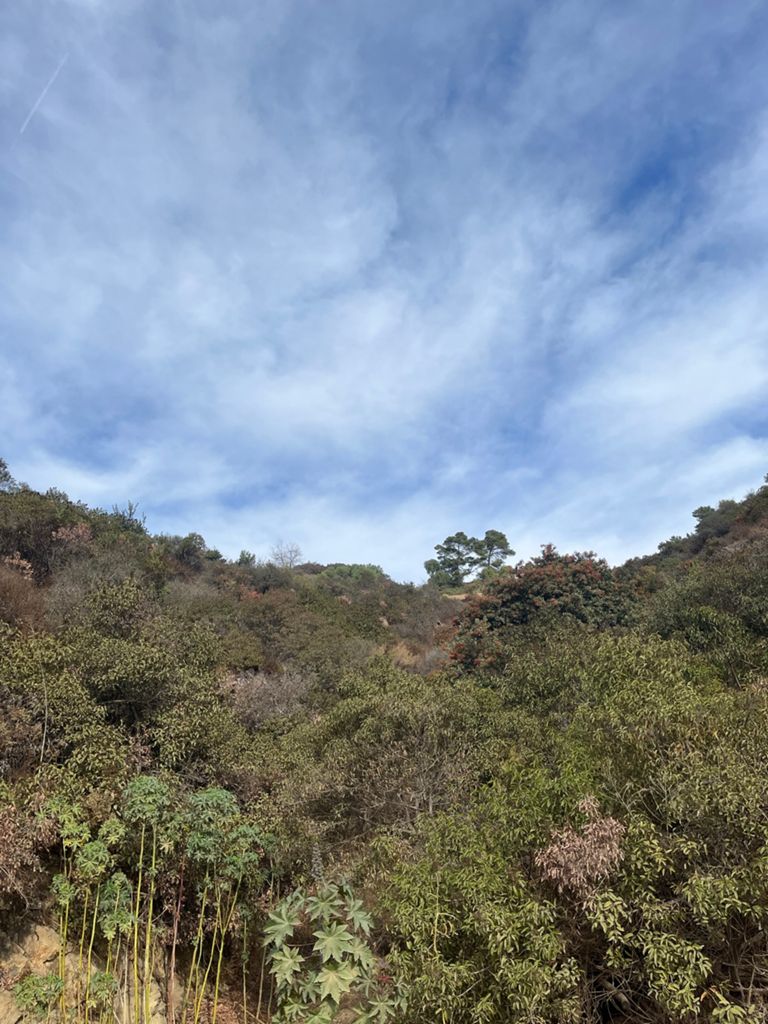 NBB run - Lake Hollywood: фото 79