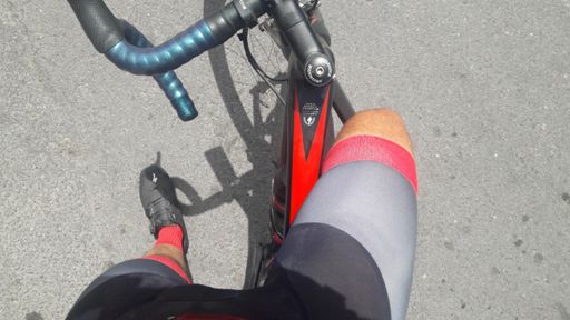 Con estos jamones  🐖