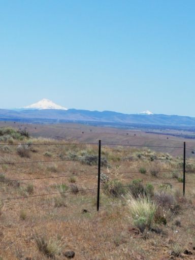 Mt Jefferson and Washington from the east side?