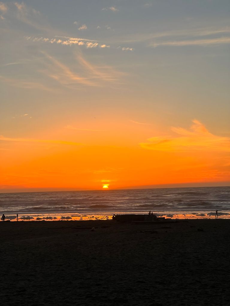 Butterlap (Presidio & Golden Gate Park)的照片 60