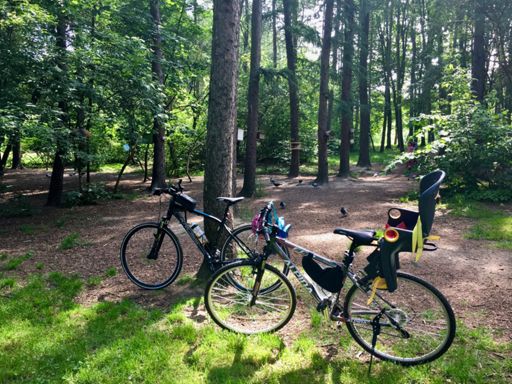 Główna atrakcja: karmienie wiewiórek 🐿 😁