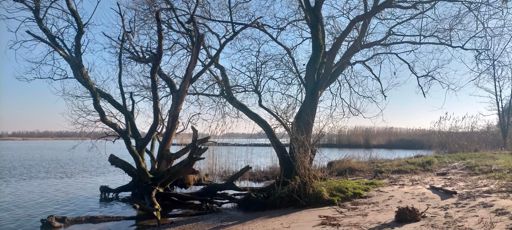 Eentje natte voeten pad