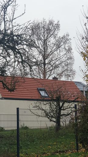 Mainz_ID24906_UM_Effenspitze 3