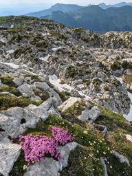 Leysin rando ferrata