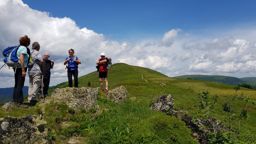 Wildenstein au Rainkopf