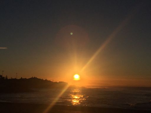 Não disse?.../ Told You!...