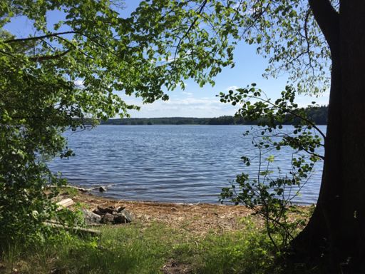 Mälaren sedd från varggropen/Runsa kulturstig