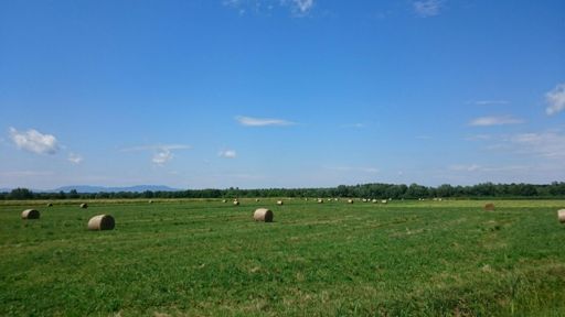 Ovo su bale sjena ;)