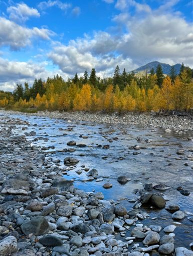 Water levels extremely low this year.