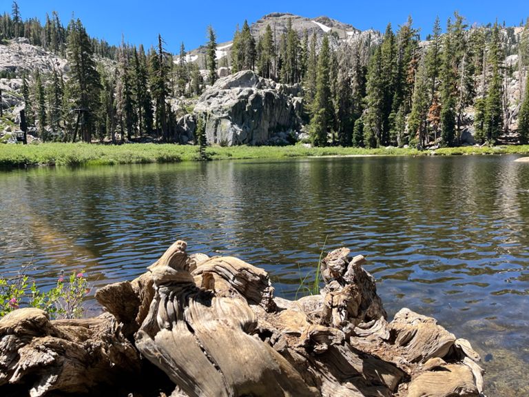 Juniper Hollow 0.2 mi Backcountry Skiing Route on Strava