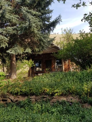 Michelle and Andy's house...