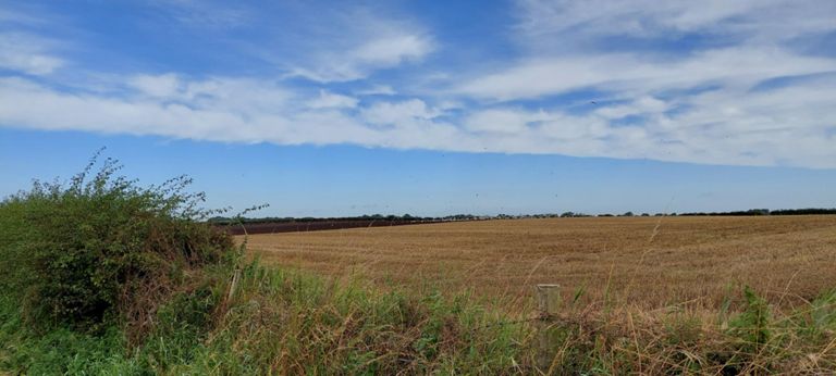 Seagulls from the River Esk, smile to the south, feasting on the fields being cultivating by a tractor with apparatus