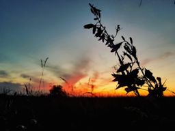 Pour prendre l’air