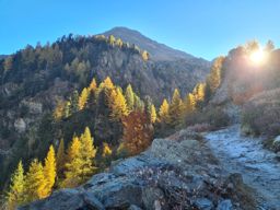 Tour du lac de moiry depuis grimentz, retour par la corne de sorebois