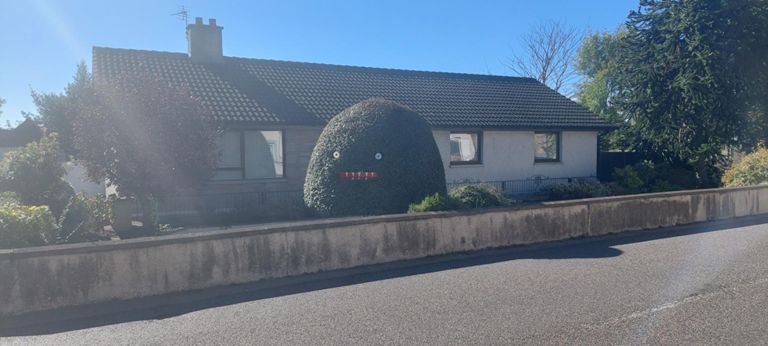 Look at the hedge at 21 Novar Road, Alness