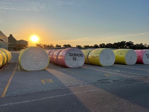 Joe Beard pirate cotton