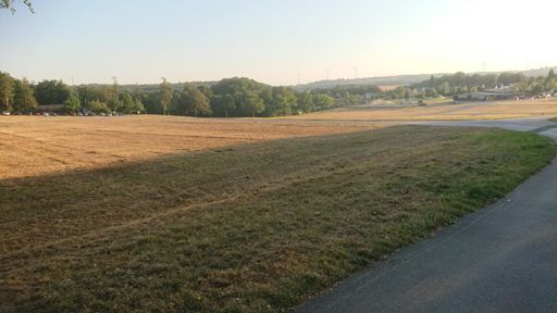 Viehmarkt-Freitag am Königsberg