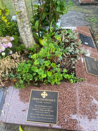 A visit to my fathers grave side