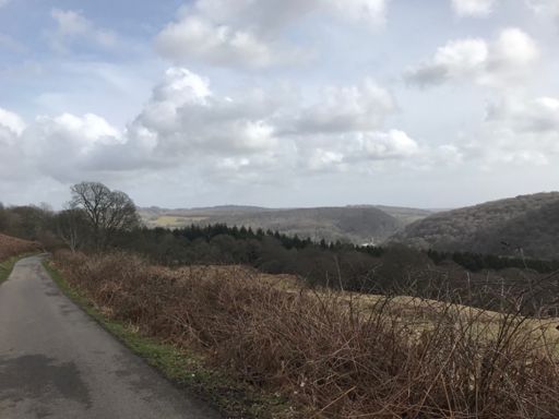 The high point of my day 😀