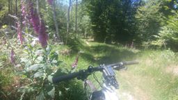 Sortie à vélo l’après-midi