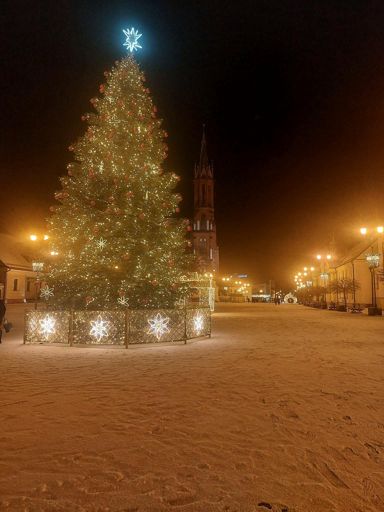 fot. Wojciech Popławski