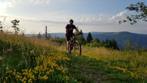 ...man beachte den Fliegenschwarm im Schlepptau 😄