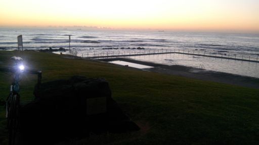 Nice morn for a swim ...