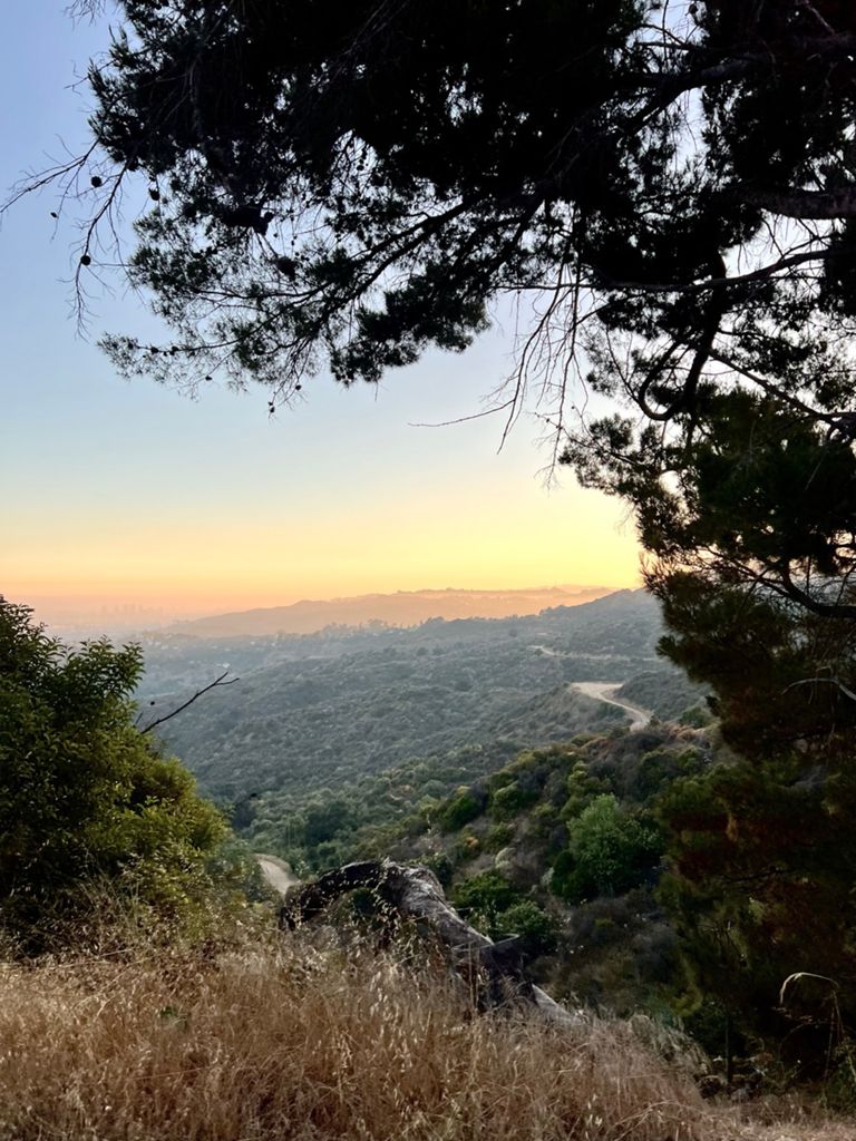 NBB run - Lake Hollywood: фото 61