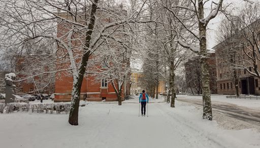 По улице Андропова на лыжах.