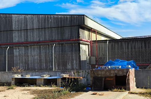 voor de wilde katten wordt gezorgd...