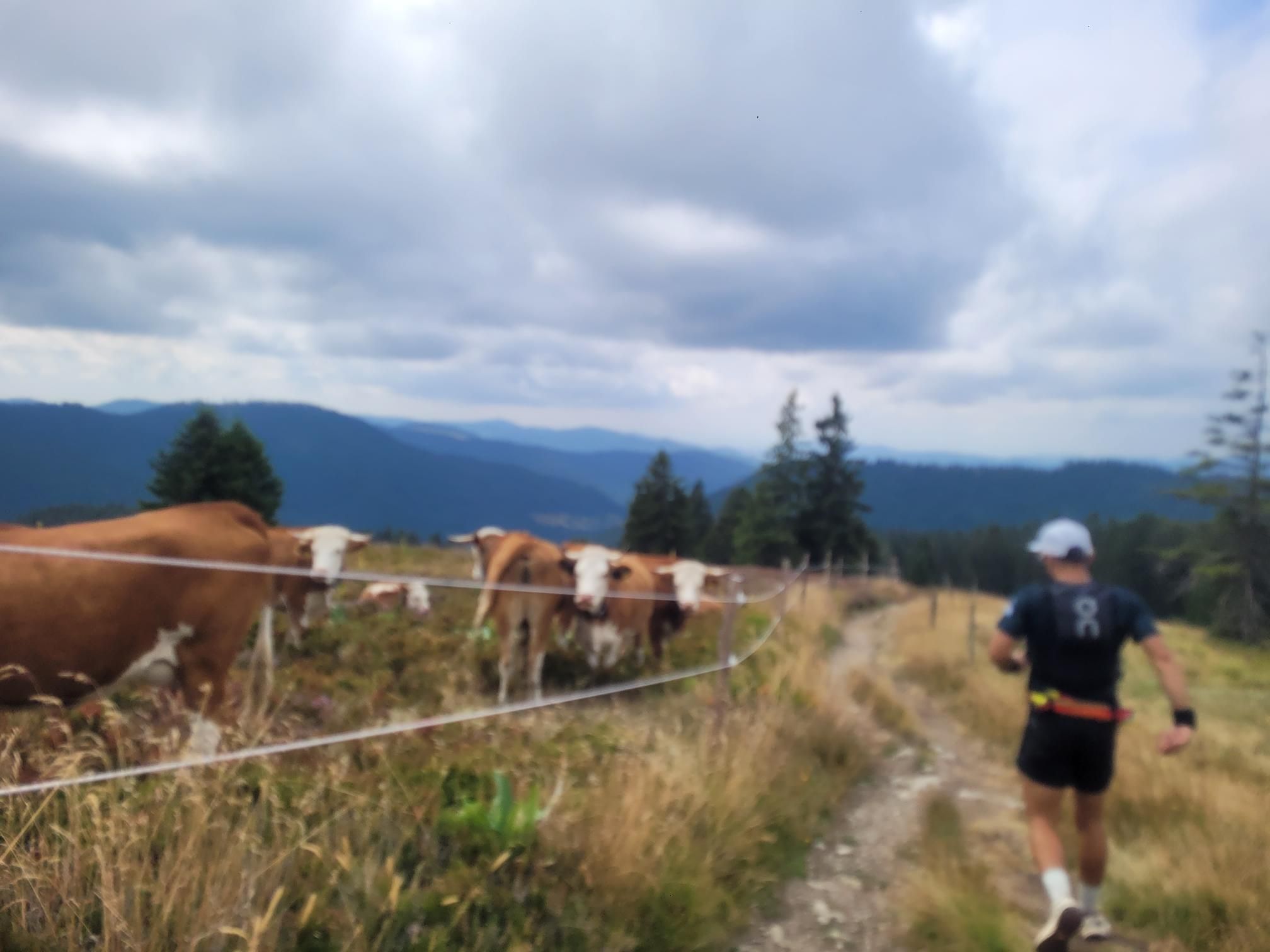 Activity photo