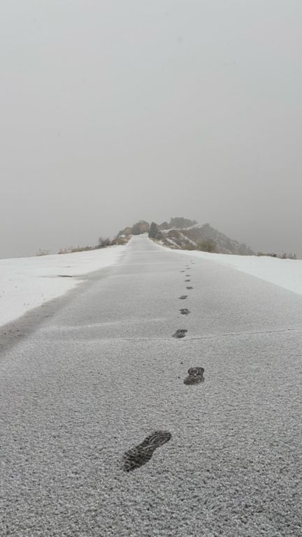 route-highlight