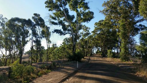 Hannaford Hump Rd....off roading!